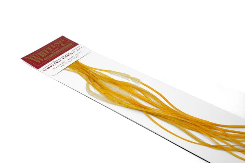 Whiting 100 Pk Size 16 Medium Ginger view 3