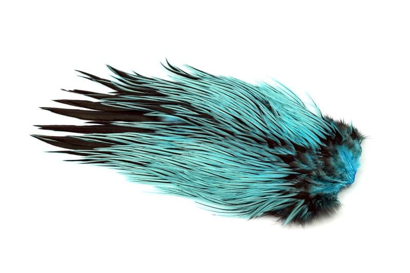Brahma Rooster Saddle Badger dyed Silver Dr. Blue view 2