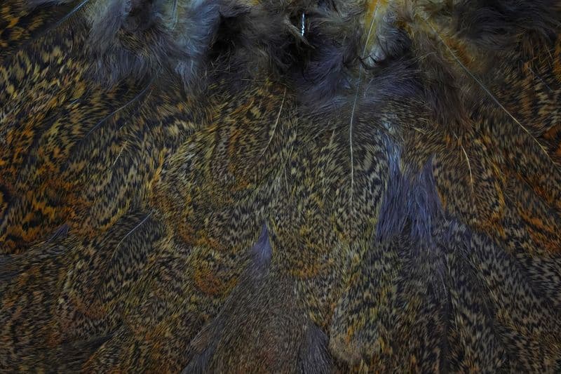 Coq De Leon Hen SH/C Speckled dyed Olive view 1