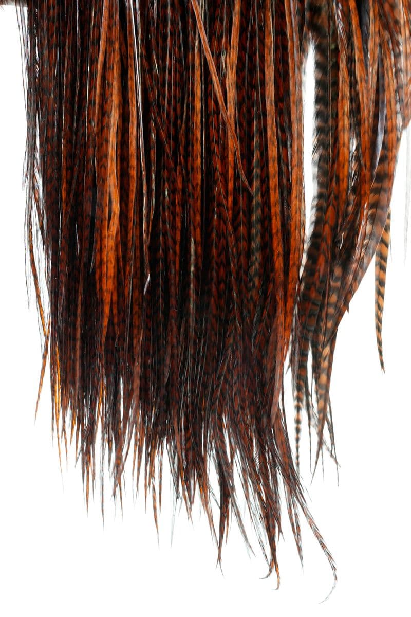 Eurohackle Saddle Grizzly dyed Coachman Brown view 4