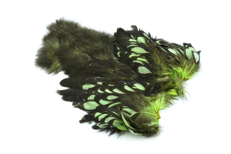 American Hen SH/C BLW dyed Insect Green view 2