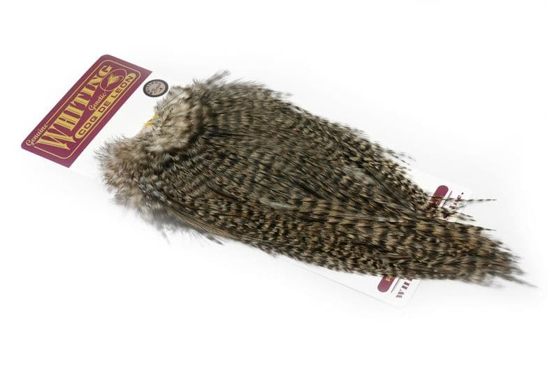 Coq de Leon Silver Saddle Grizzly Variant view 2
