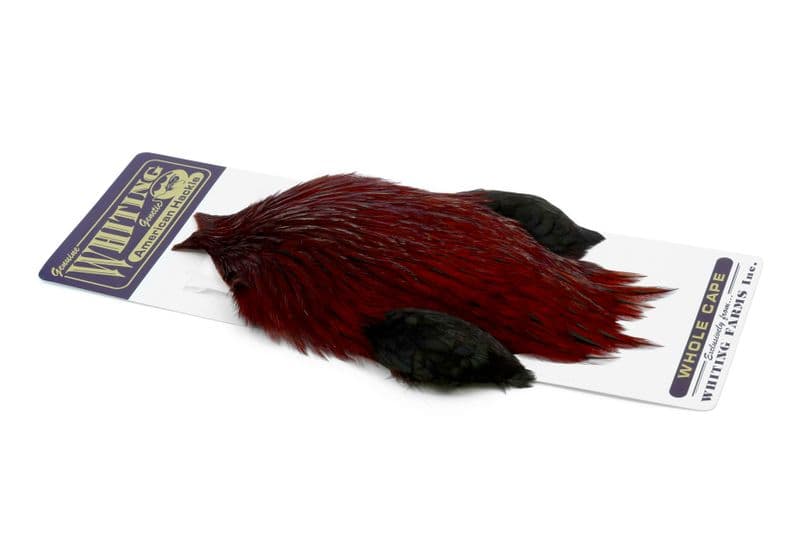 American Rooster Cape Badger dyed Fiery Brown view 2