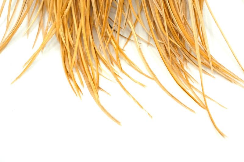 Whiting Gold Saddle Light Ginger view 5