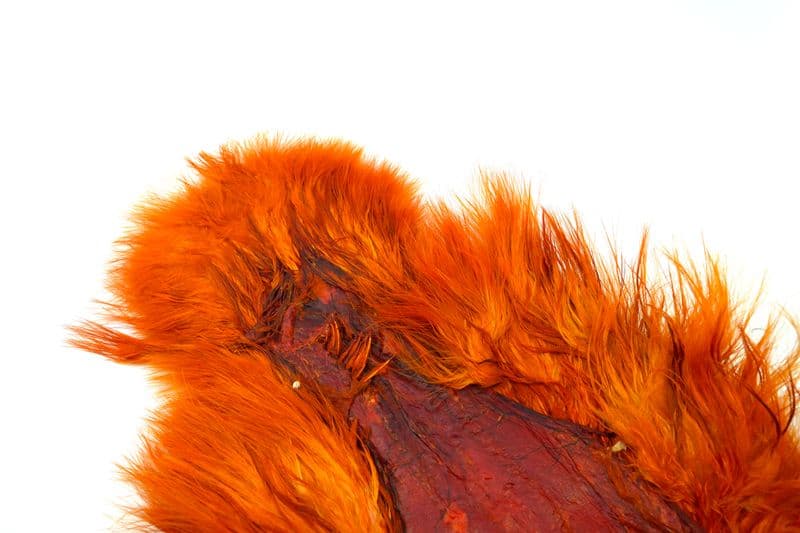Spey SH/C White dyed Burnt Orange view 1