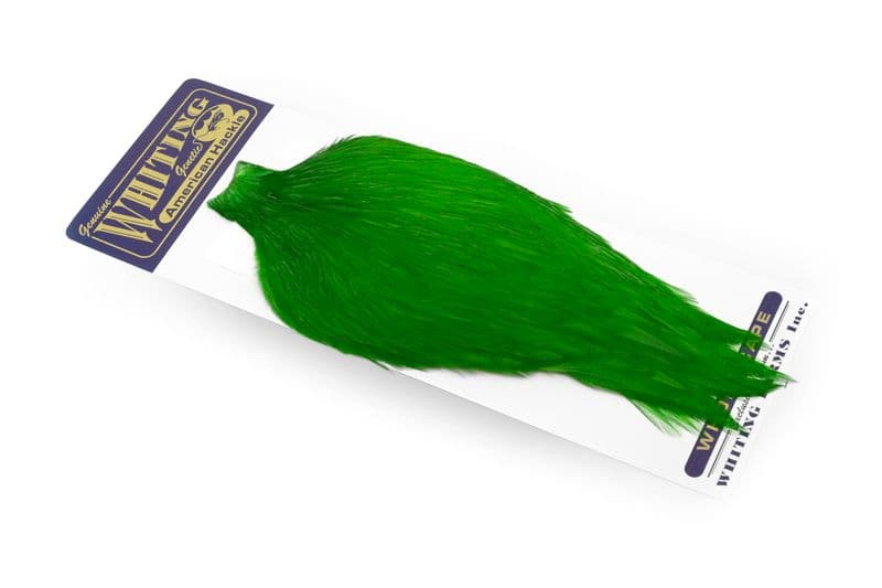 American Rooster Cape White dyed Highlander Green view 2