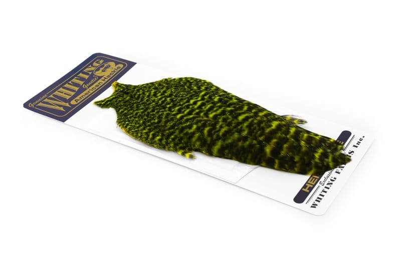 American Hen Cape Grizzly dyed Fl. Yellow Chartreuse view 2