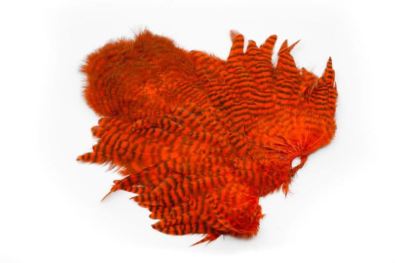 Whiting Rooster SH/C Grizzly dyed Orange view 1