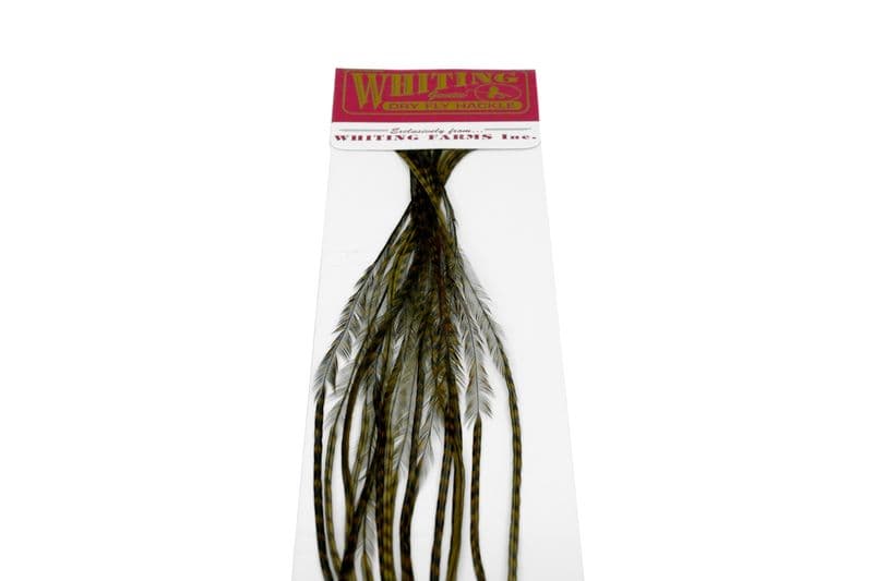 Whiting 100 Pk Size 16 Grizzly dyed Dark Olive view 4