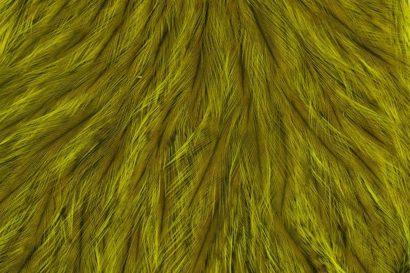 Coq de Leon Hen Cape Speckled dyed Yellow view 1