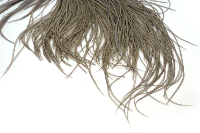 Whiting Pro Grade Saddle White dyed Medium Dun view 4