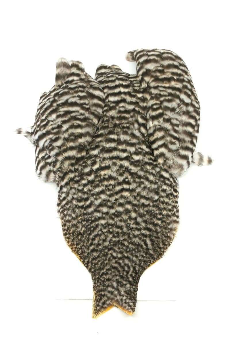 4 B's Hen Cape Grizzly view 2