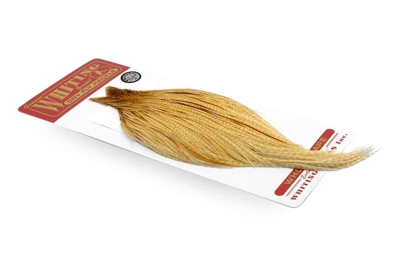 Whiting Pro Grade Cape Barred Medium Ginger view 2
