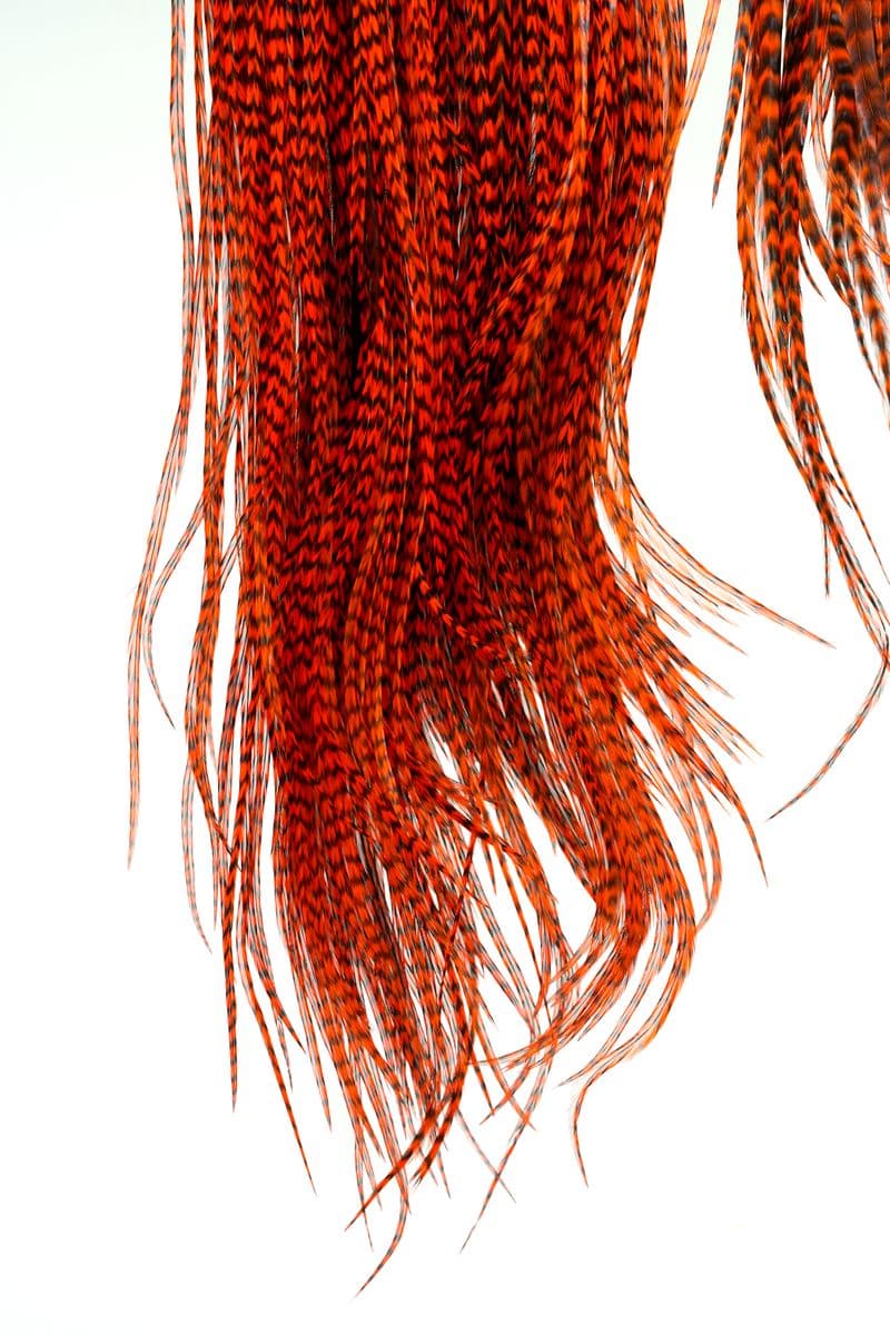 Eurohackle Saddle Grizzly dyed Orange view 4