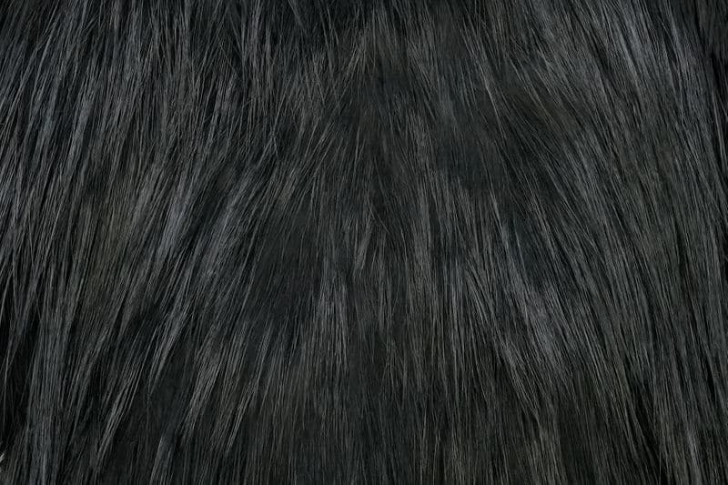 Spey Hackle Rooster Saddle Bronze Black