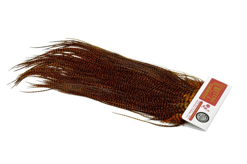 Whiting Silver Saddle Grizzly dyed Burnt Orange view 2