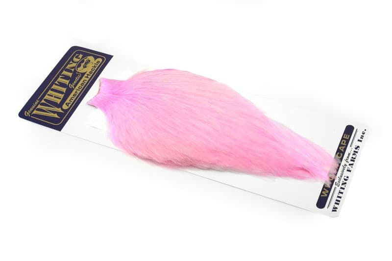 American Rooster Cape White dyed Shell Pink view 2