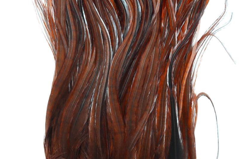 Whiting Bugger Pack White dyed Coachman view 1