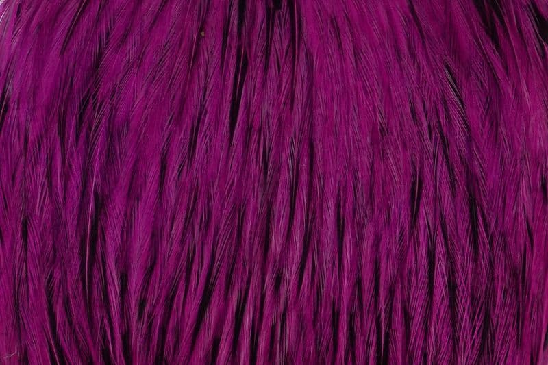 American Rooster Cape BLW dyed Magenta view 1