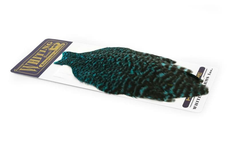 American Hen Cape Grizzly dyed Silver Dr. Blue view 2