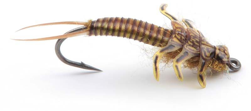 Stonefly Kits Brown view 3