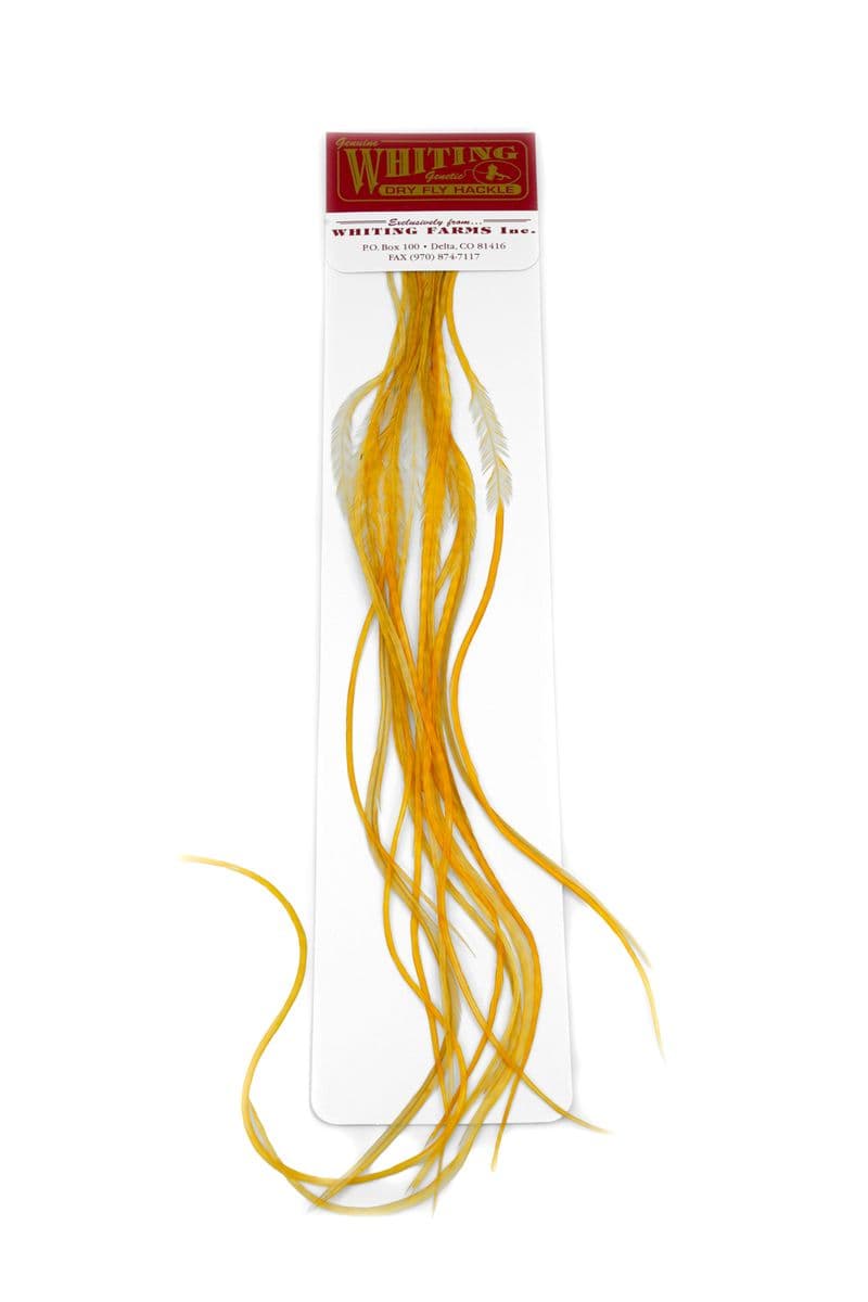 Whiting 100 Pk Size 16 Medium Ginger view 2