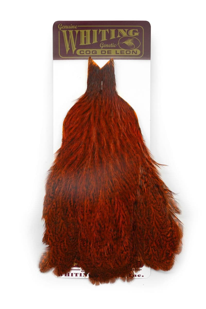 Coq de Leon Hen Cape Speckled dyed Burnt Orange view 3