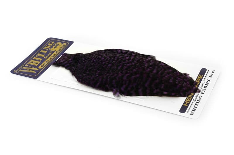 American Hen Cape Grizzly dyed Purple view 2