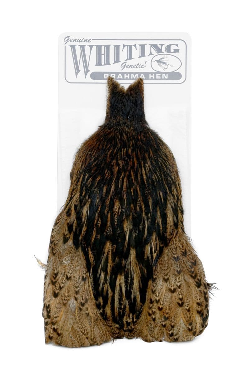 Brahma Hen Cape Badger dyed March Brown view 3