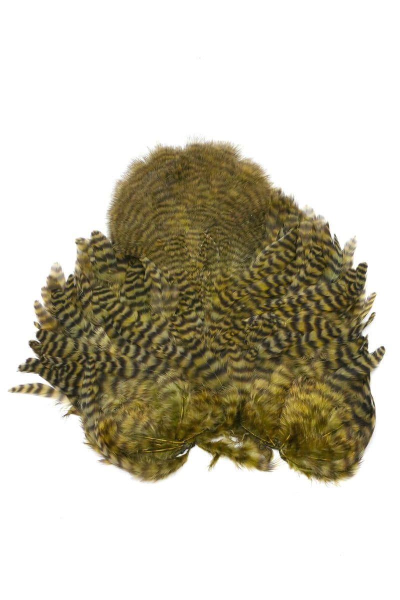 Whiting Rooster SH/C Grizzly dyed Olive view 2