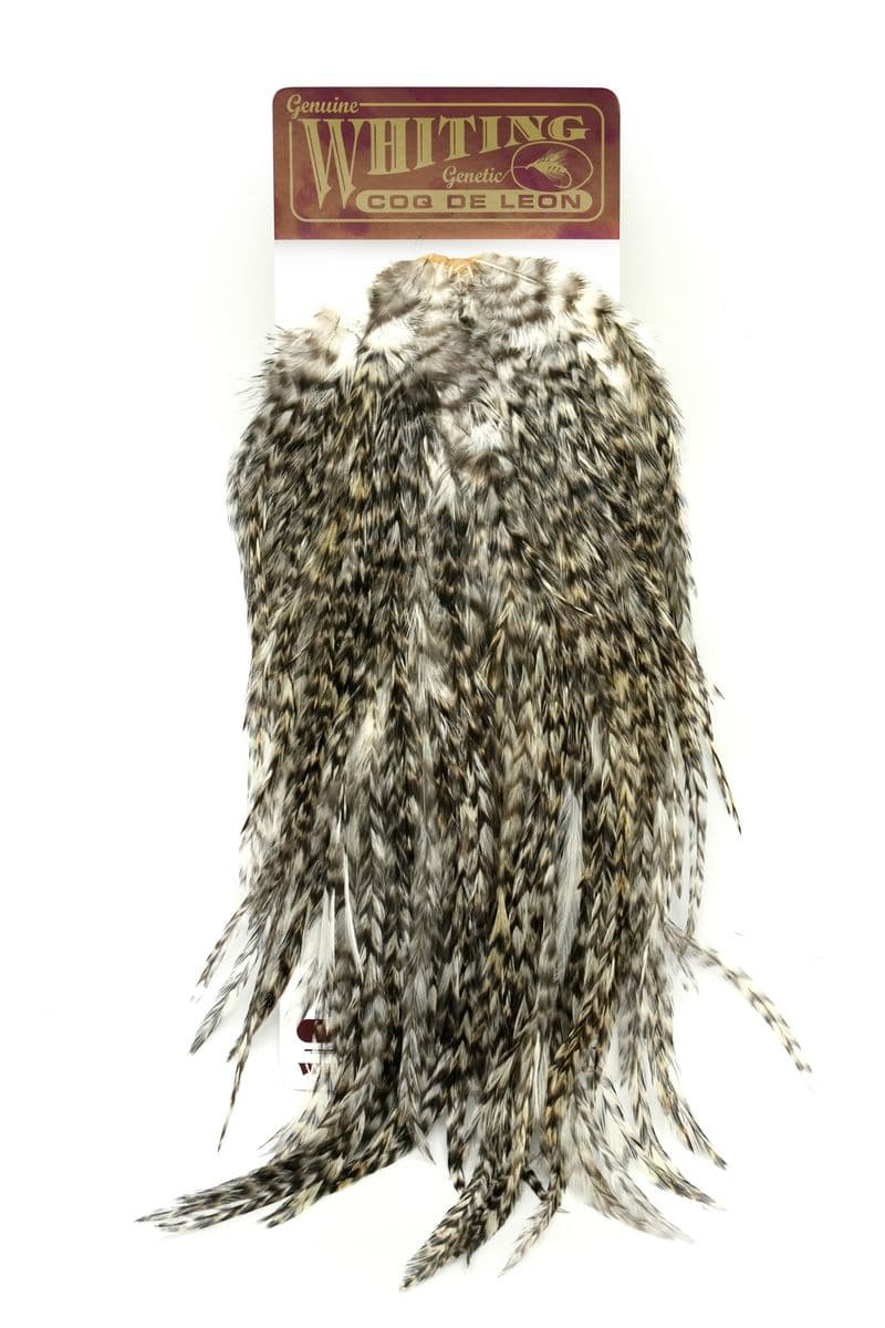 Coq de Leon Silver Saddle Grizzly view 3