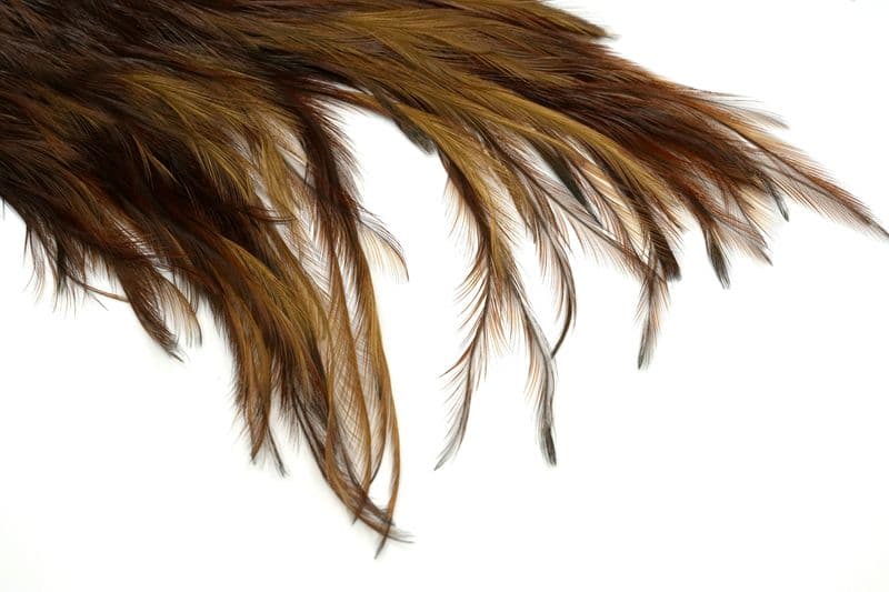 Coq de Leon Silver Saddle Brown view 4