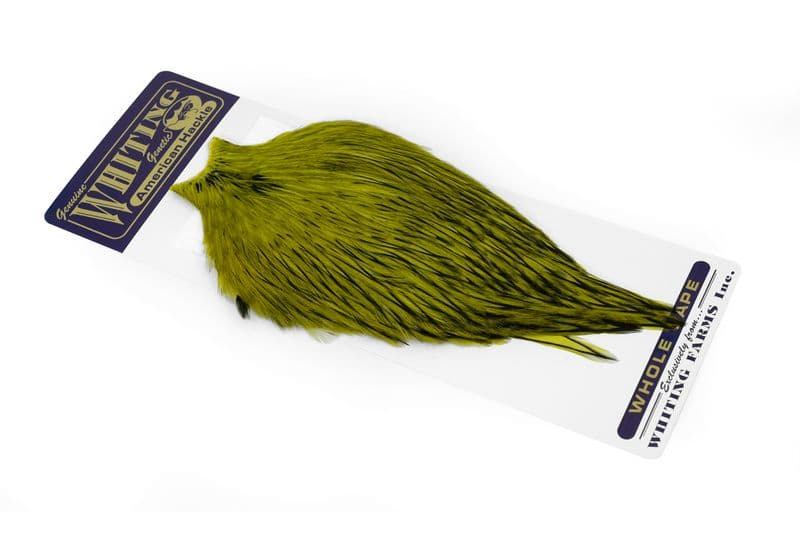 American Rooster Cape BLW dyed Olive view 2
