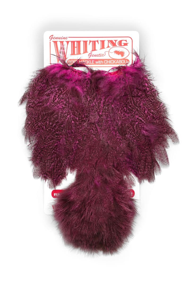 Coq De Leon Hen SH/C Speckled dyed Pink view 3