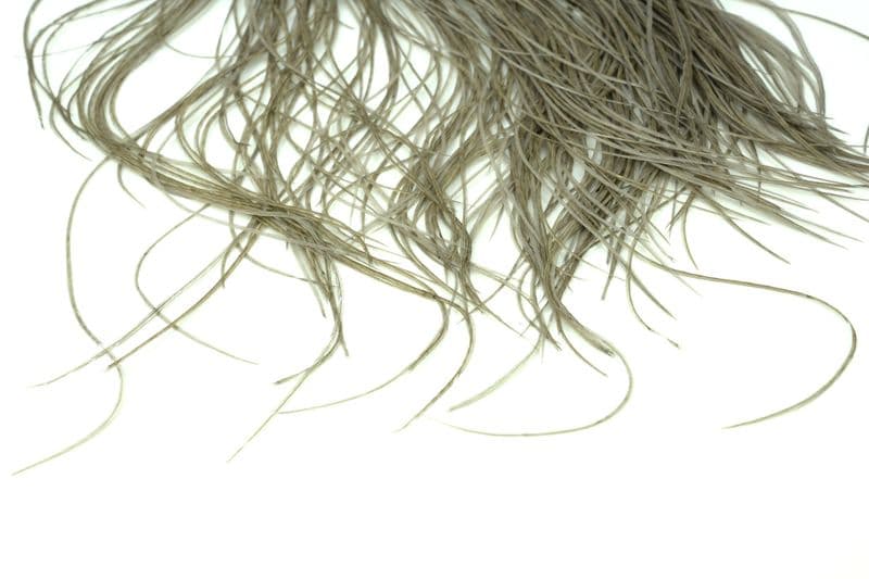 Whiting Pro Grade Midge Saddle White dyed Medium Dun view 4