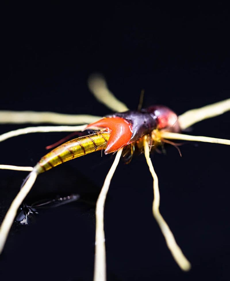 UV Fly Finish - Orange view 4