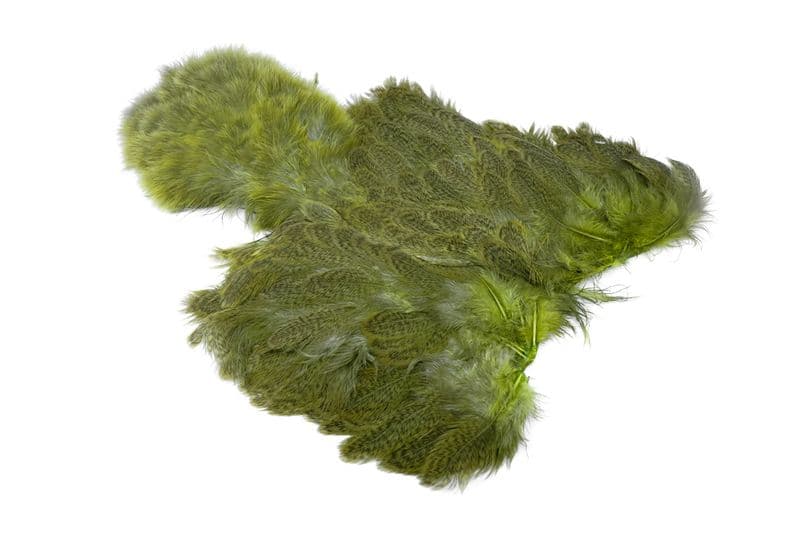 Brahma Hen SH/C Speckled dyed Olive view 2