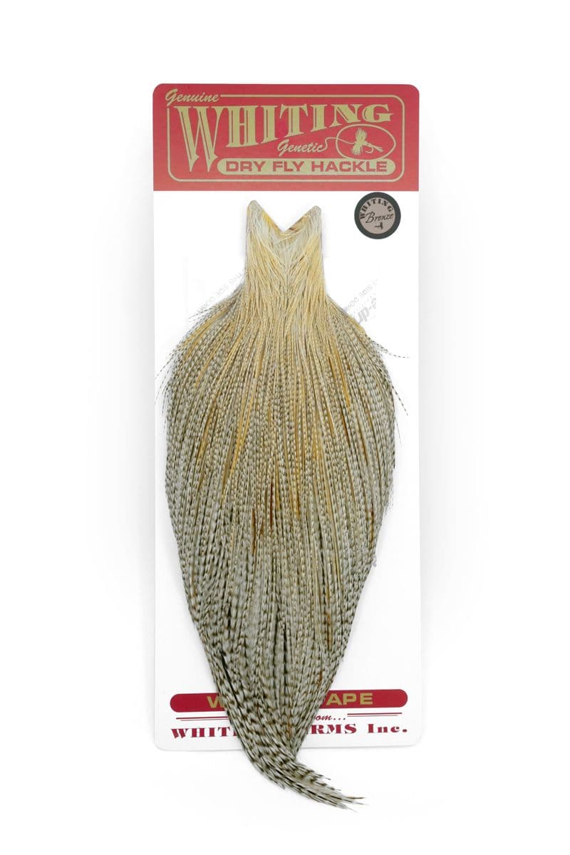 Whiting Bronze Cape Unique Variant view 3