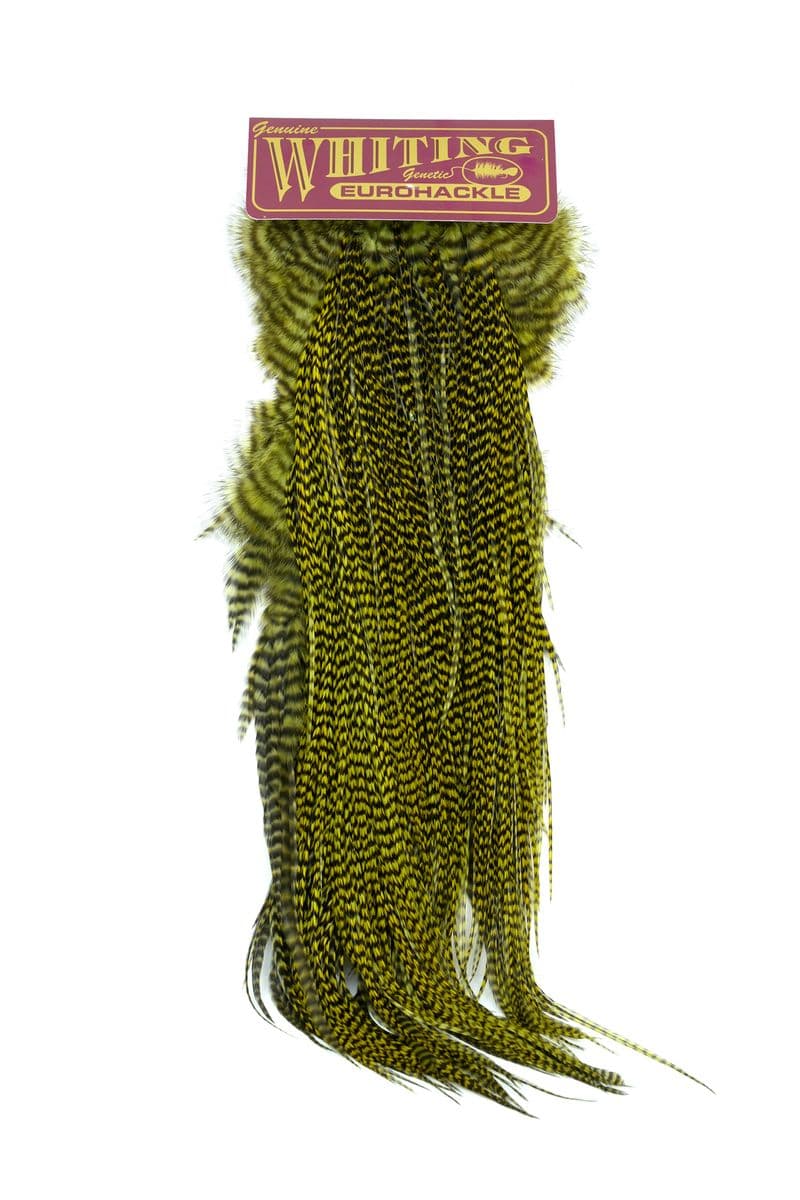 Eurohackle Saddle Grizzly dyed Olive view 3