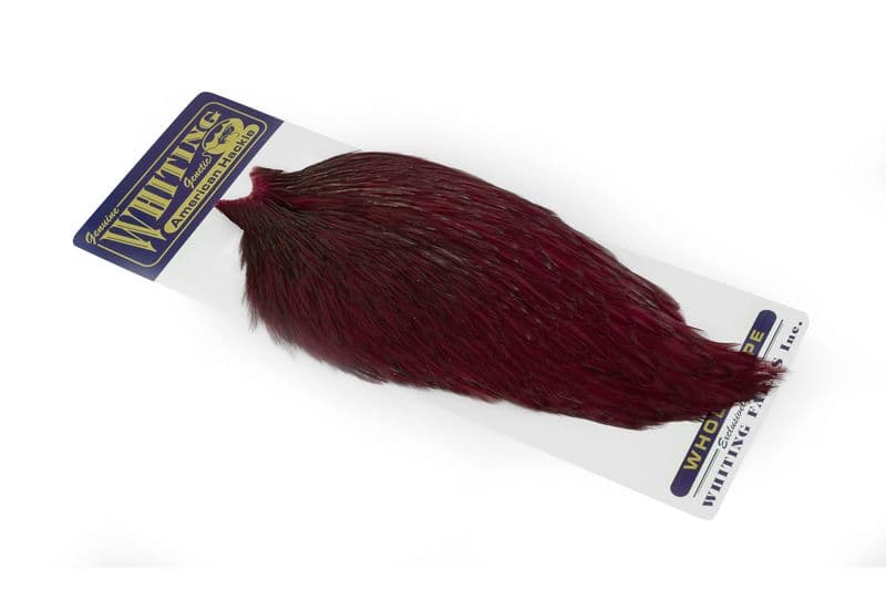 American Rooster Cape White dyed Claret view 2