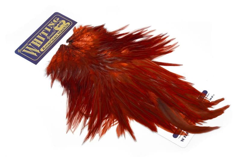 American Rooster Saddle Fiery Brown view 2