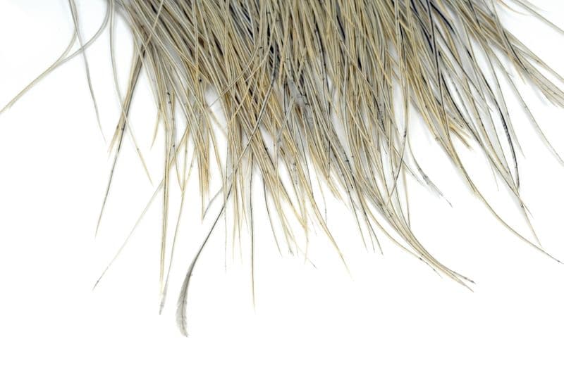 Whiting Pro Grade Midge Saddle Natural Dun view 4