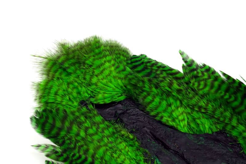 Whiting Rooster SH/C Grizzly dyed Highlander Green view 1