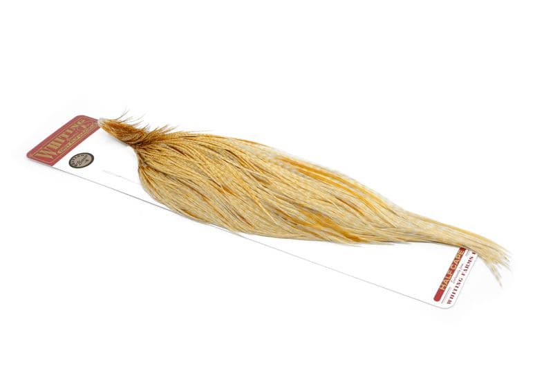 Whiting Bronze 1/2 Cape Barred Med Ginger view 1