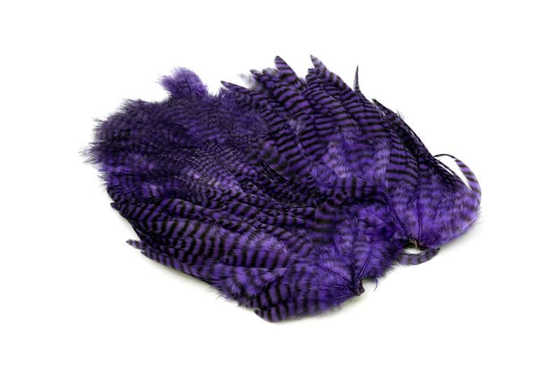 Whiting Rooster SH/C Grizzly dyed Purple view 2