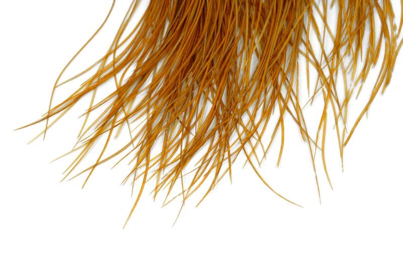 Whiting Pro Grade Midge Saddle White dyed March Brown view 4
