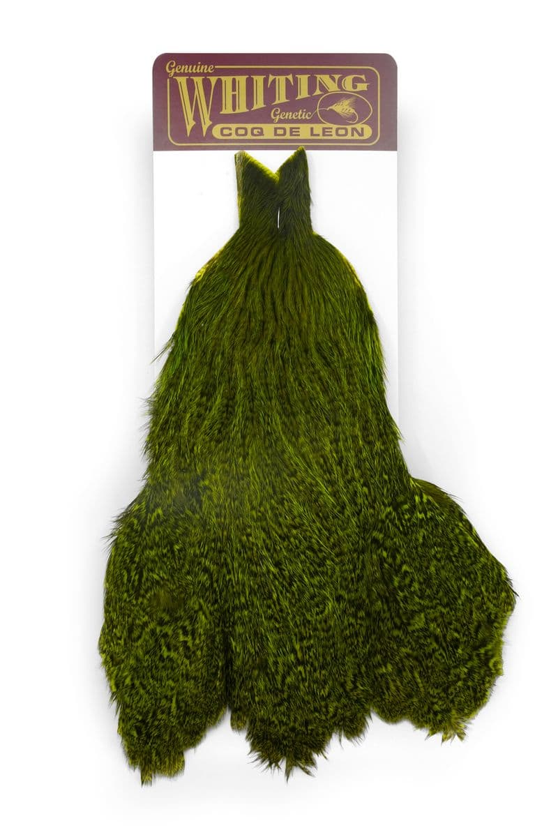 Coq de Leon Hen Cape Speckled dyed Fl. Green Chartreuse view 3