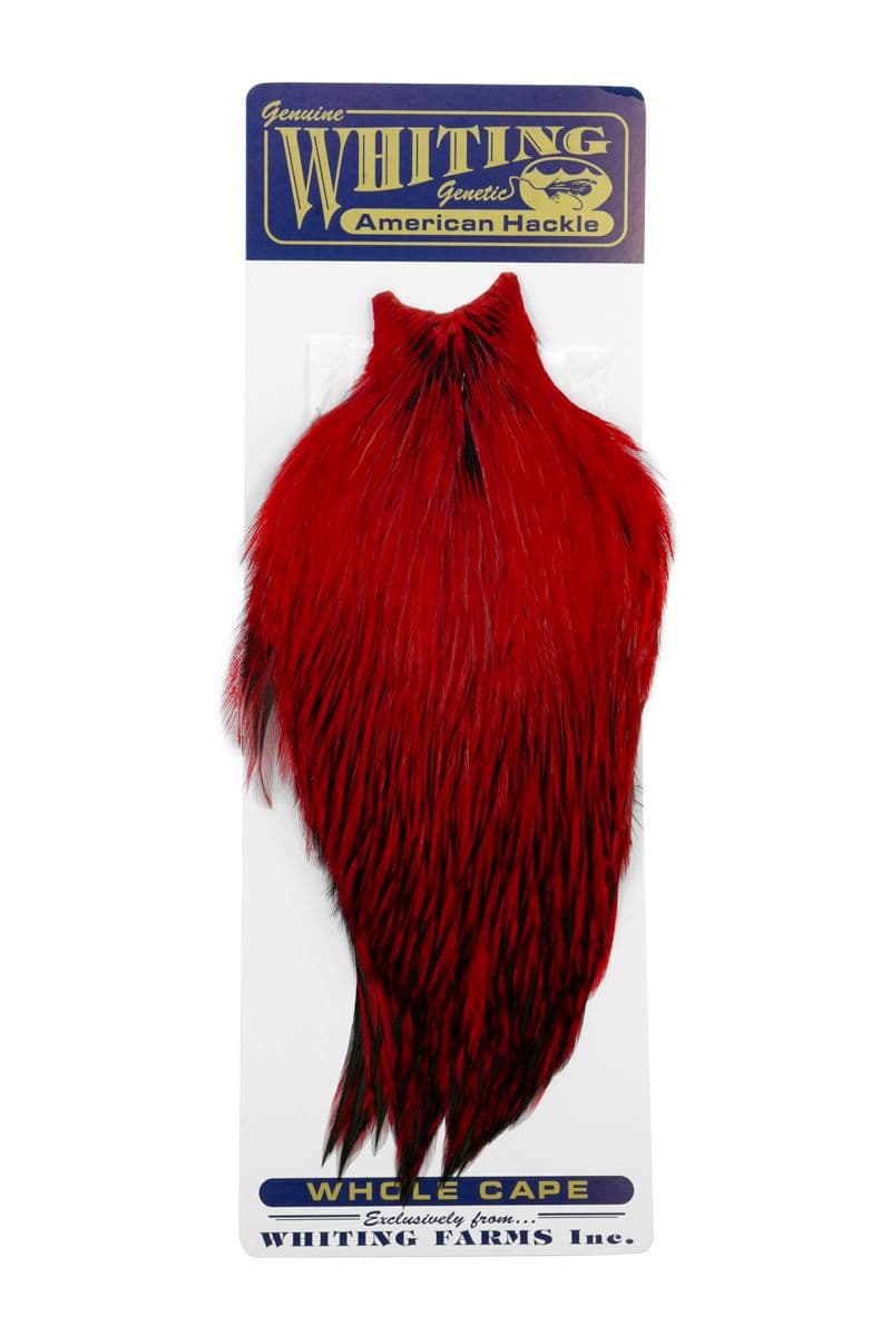American Rooster Cape BLW dyed Red view 3
