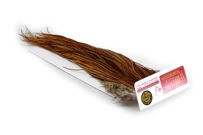 Whiting Gold Saddle Barred Dark Ginger view 2