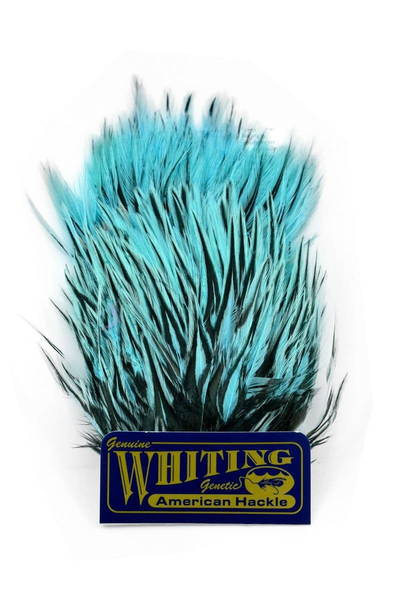 American Streamer Pack Black laced White dyed Silver Dr. Blue view 4